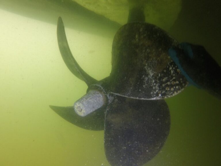 Propeller Inspection