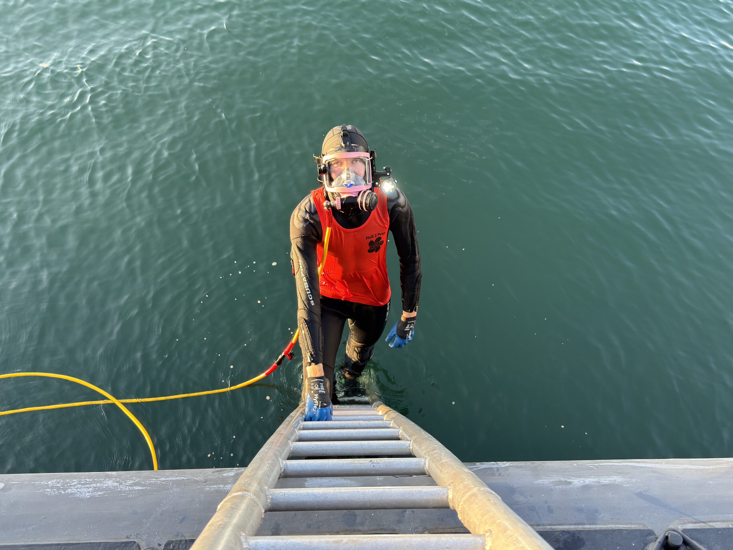 Diver Exiting the Water